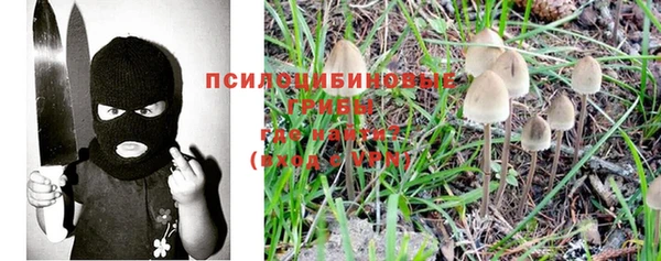 a pvp Орск