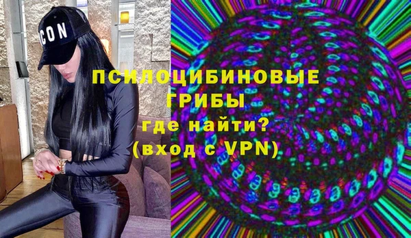 соль ск Михайловск